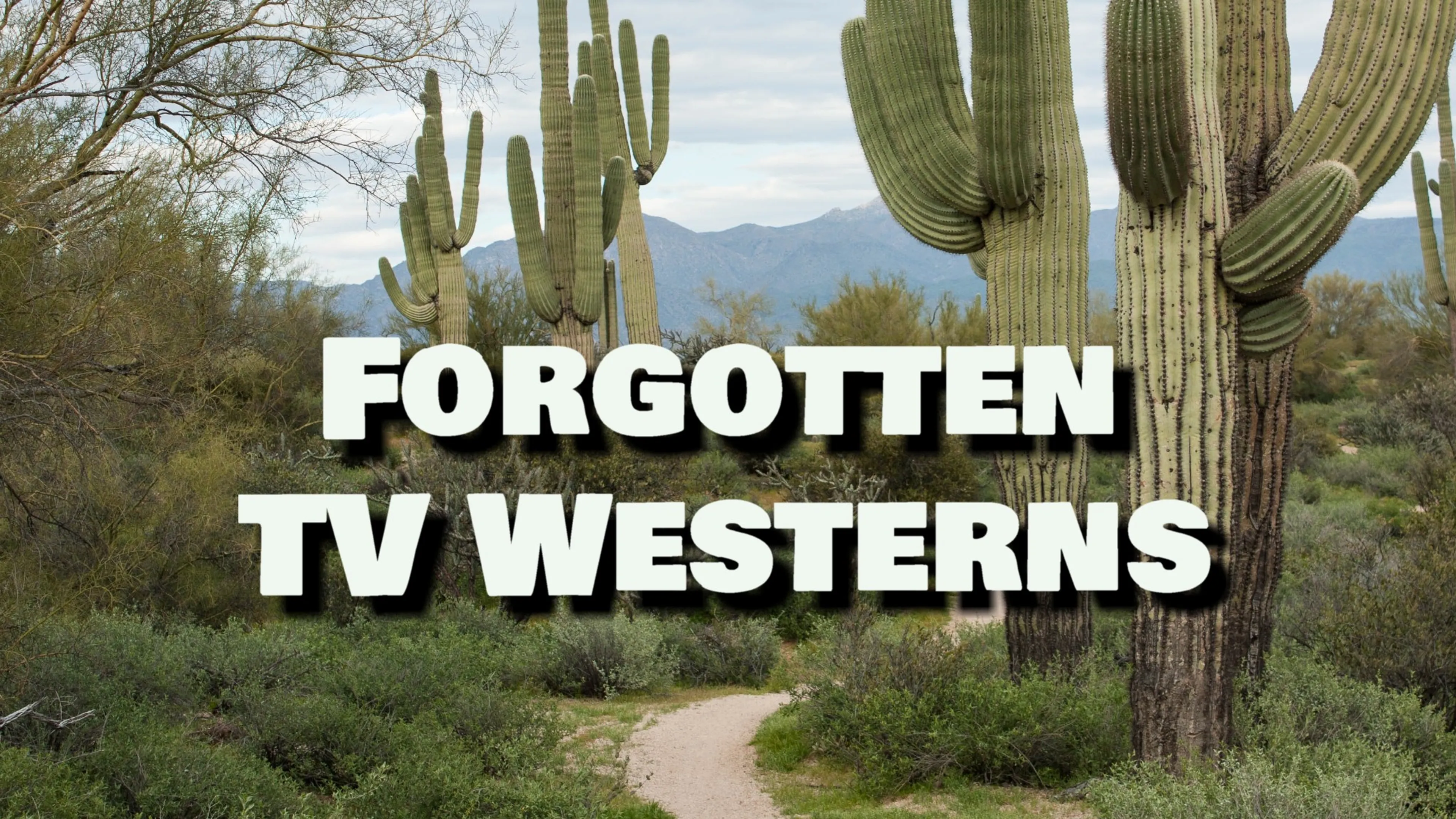 Forgotten TV Westerns poster